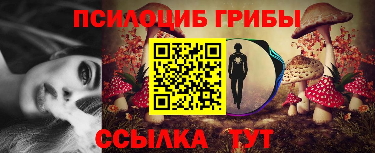 Галлюциногенные грибы GOLDEN TEACHER Арзамас