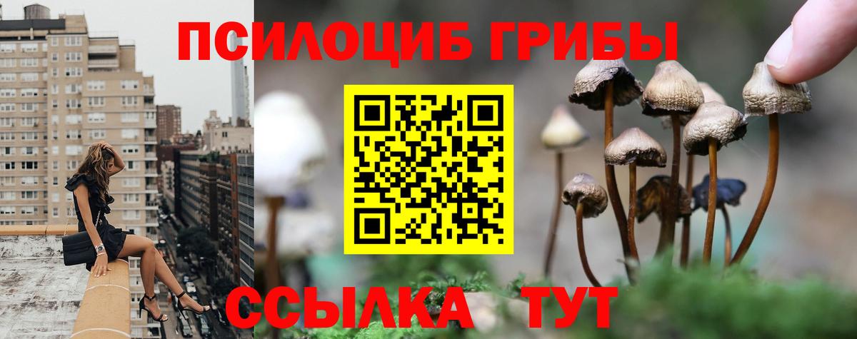 Галлюциногенные грибы прущие грибы  Вход с VPN  где можно купить наркотик  Арзамас  Галлюциногенные грибы MAGIC MUSHROOMS 